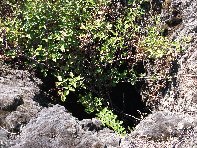 Grotta Fenice